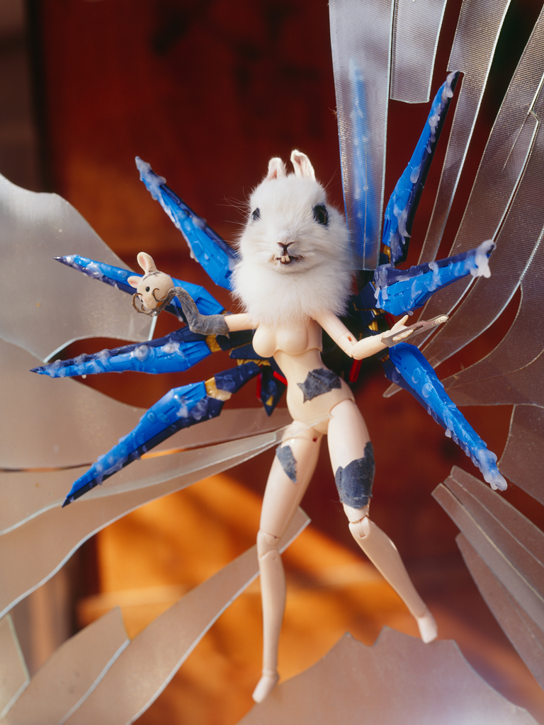 freaky evolution #5_람다프린트_160×120cm_2008