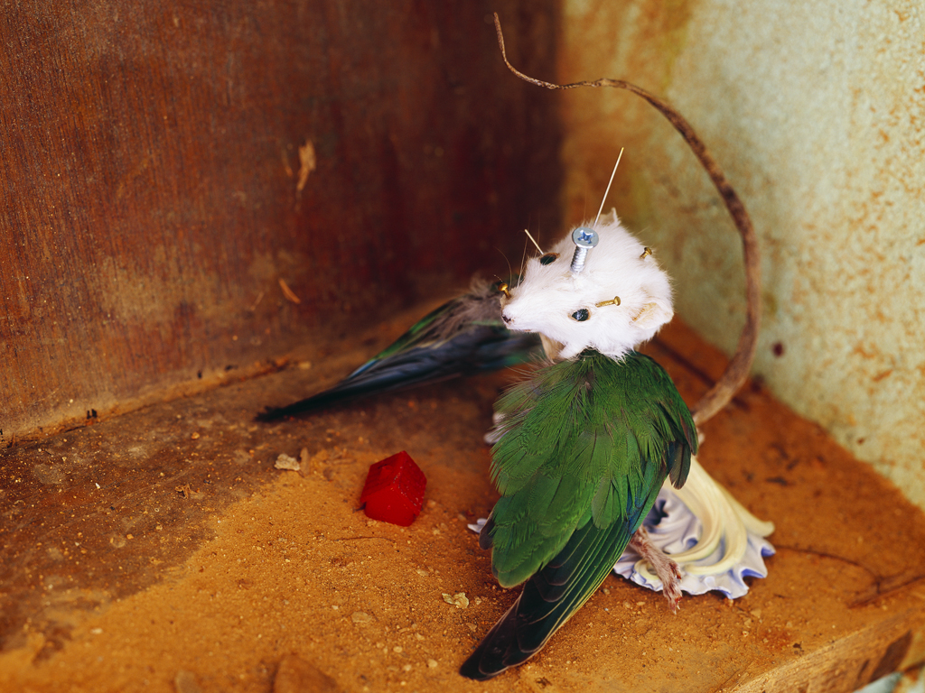 freaky evolution #6_람다프린트_160×120cm_2008