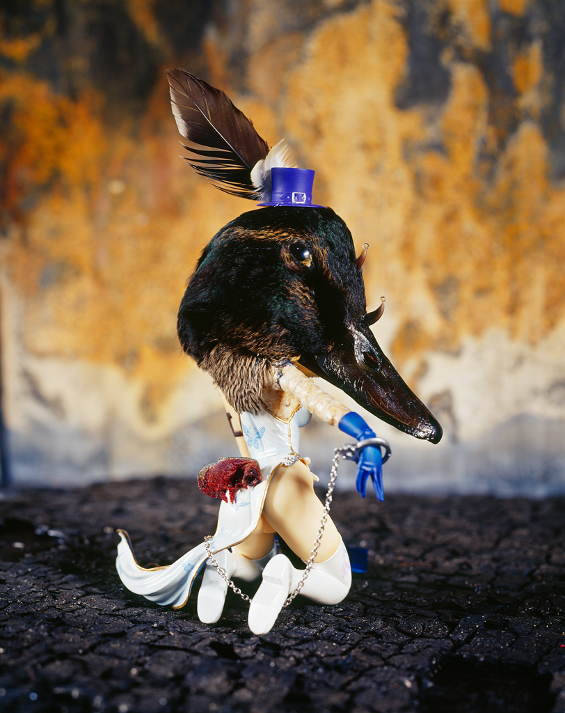 freaky evolution #8_람다프린트_160×120cm_2009