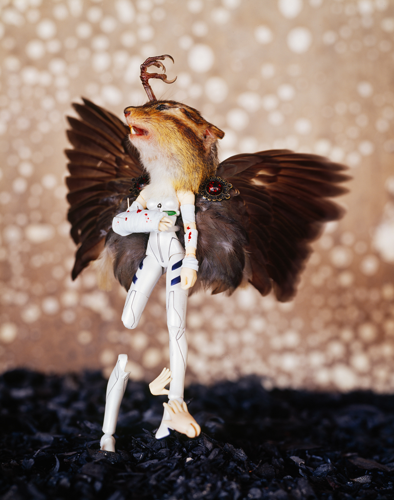 freaky evolution #9_람다프린트_160×120cm_2009