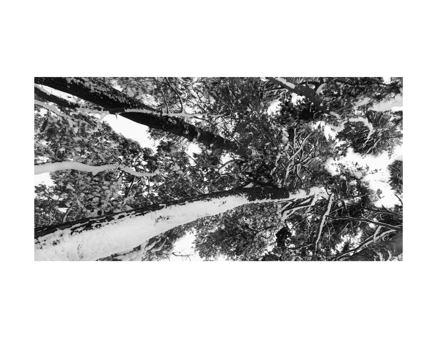 ohne! snm1a-091v_5083496_300705