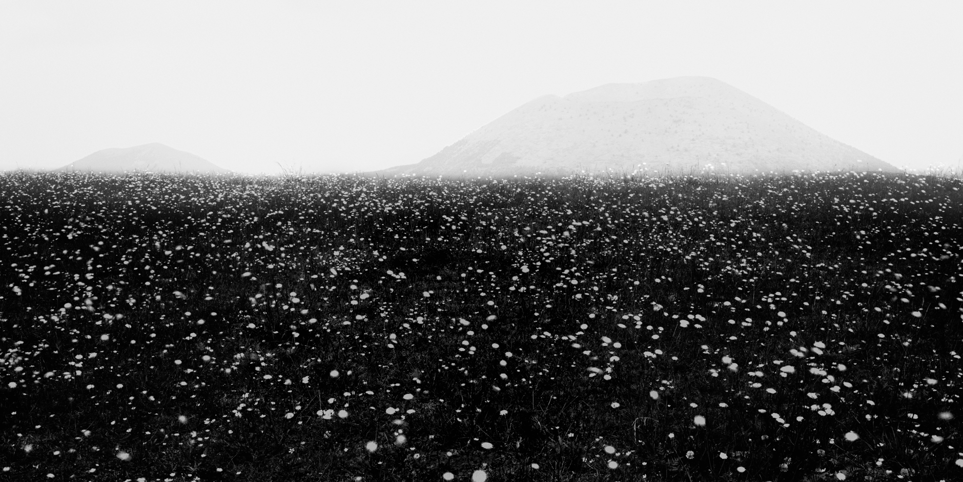 om1a-003h_5089257_080406