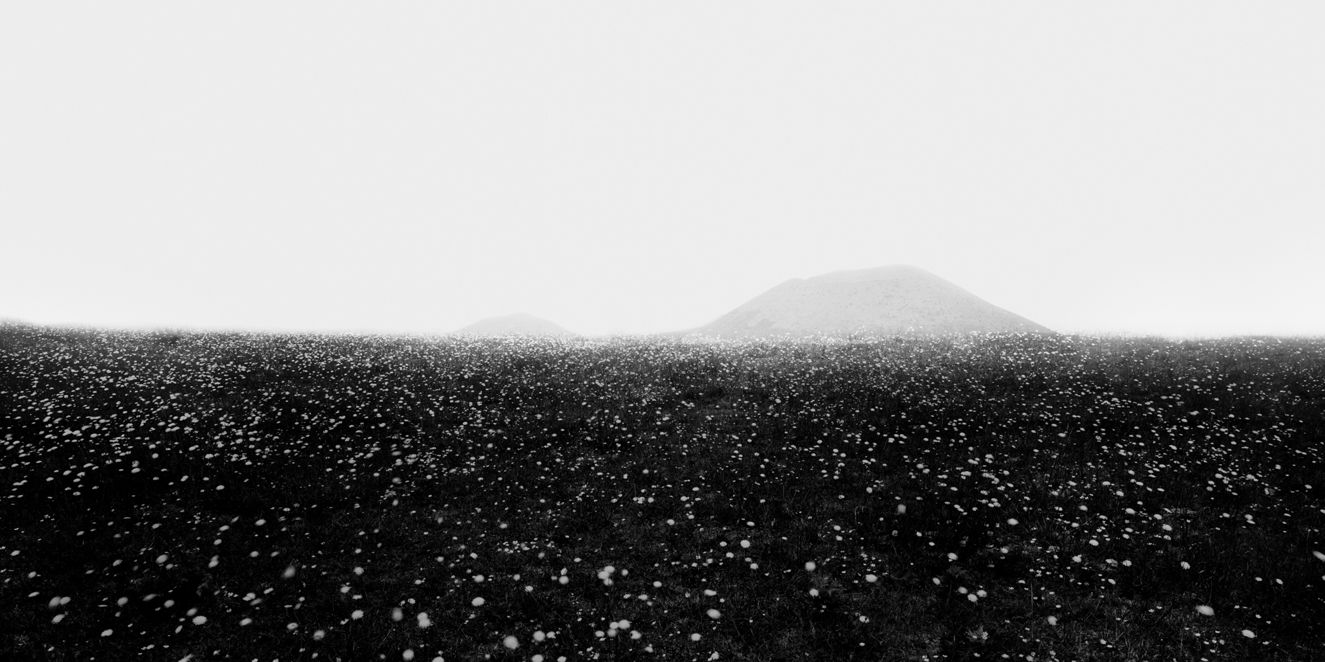 om1a-005h_5089257_080406