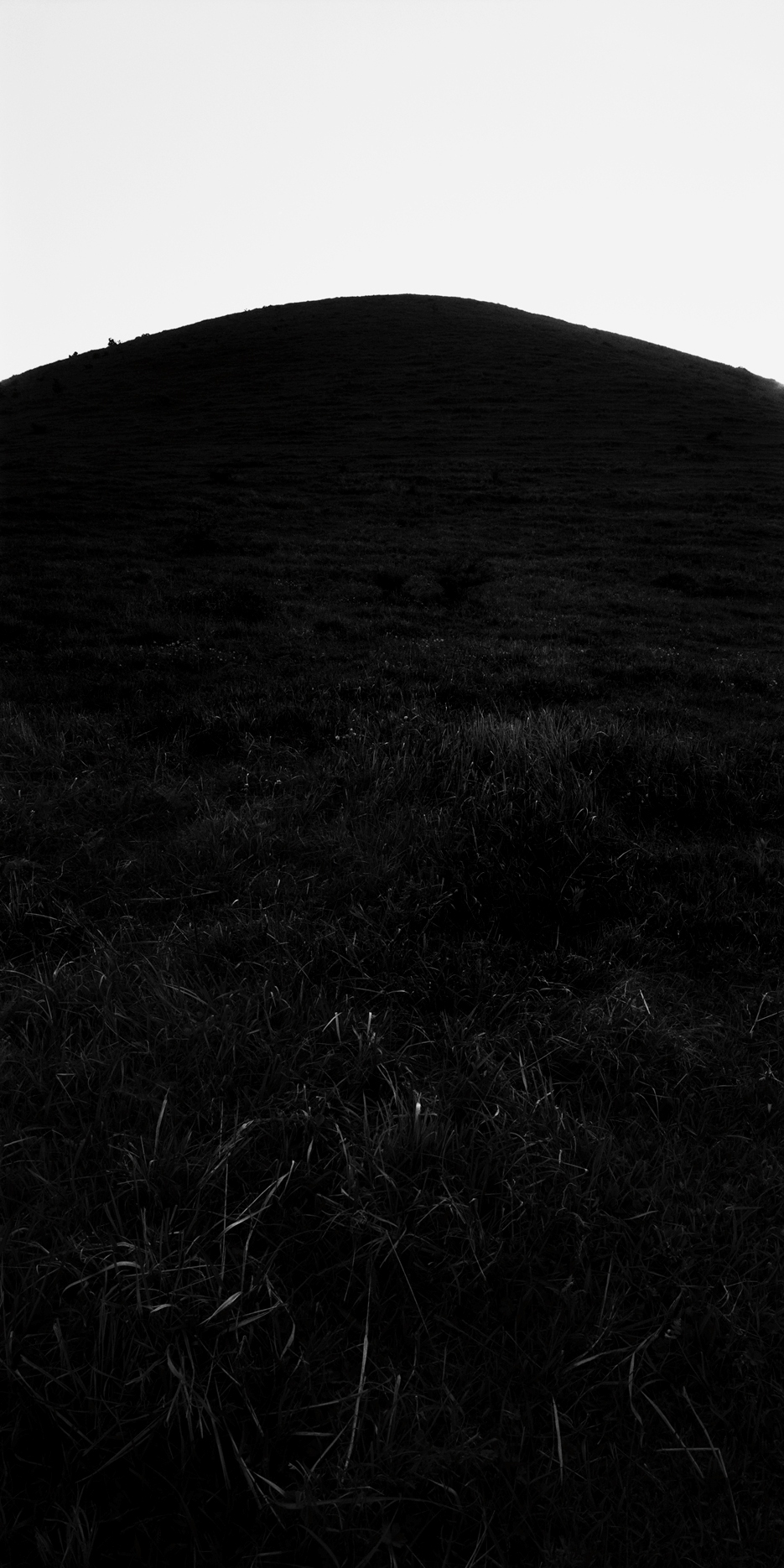 om1a-013v_5089257_080406