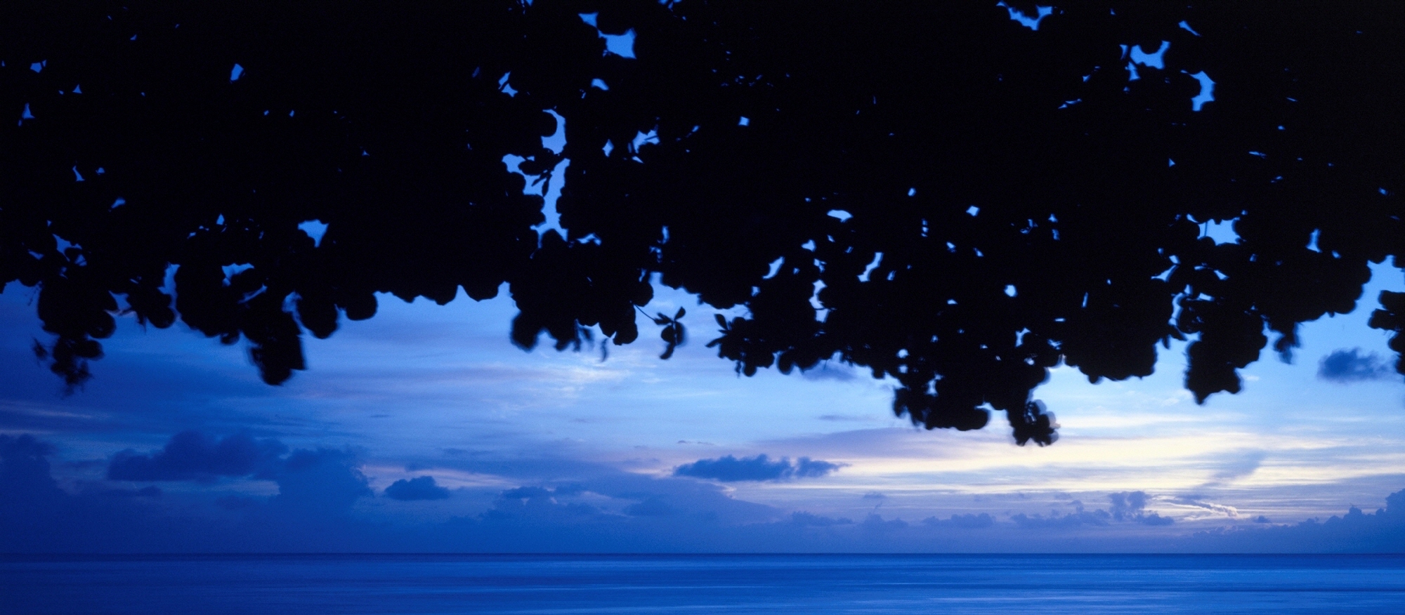 sea1a-013hc_5071825_300104