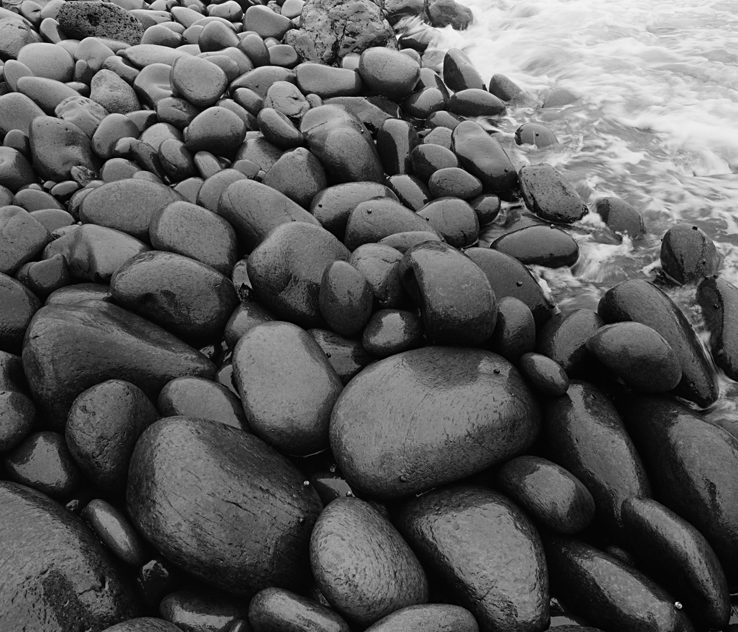 sea2b-001h_5104932_250208