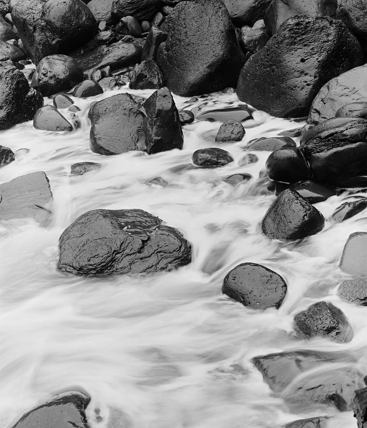 sea2b-005v_5104932_250208