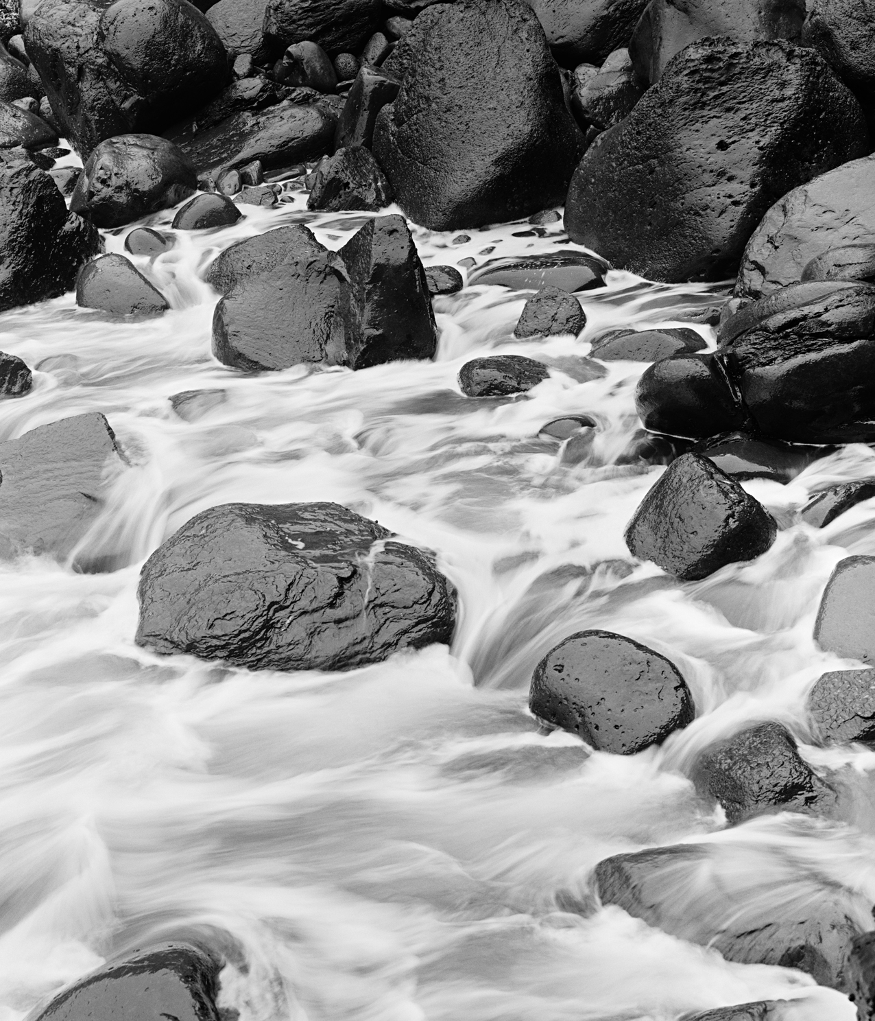 sea2b-006v_5104932_250208