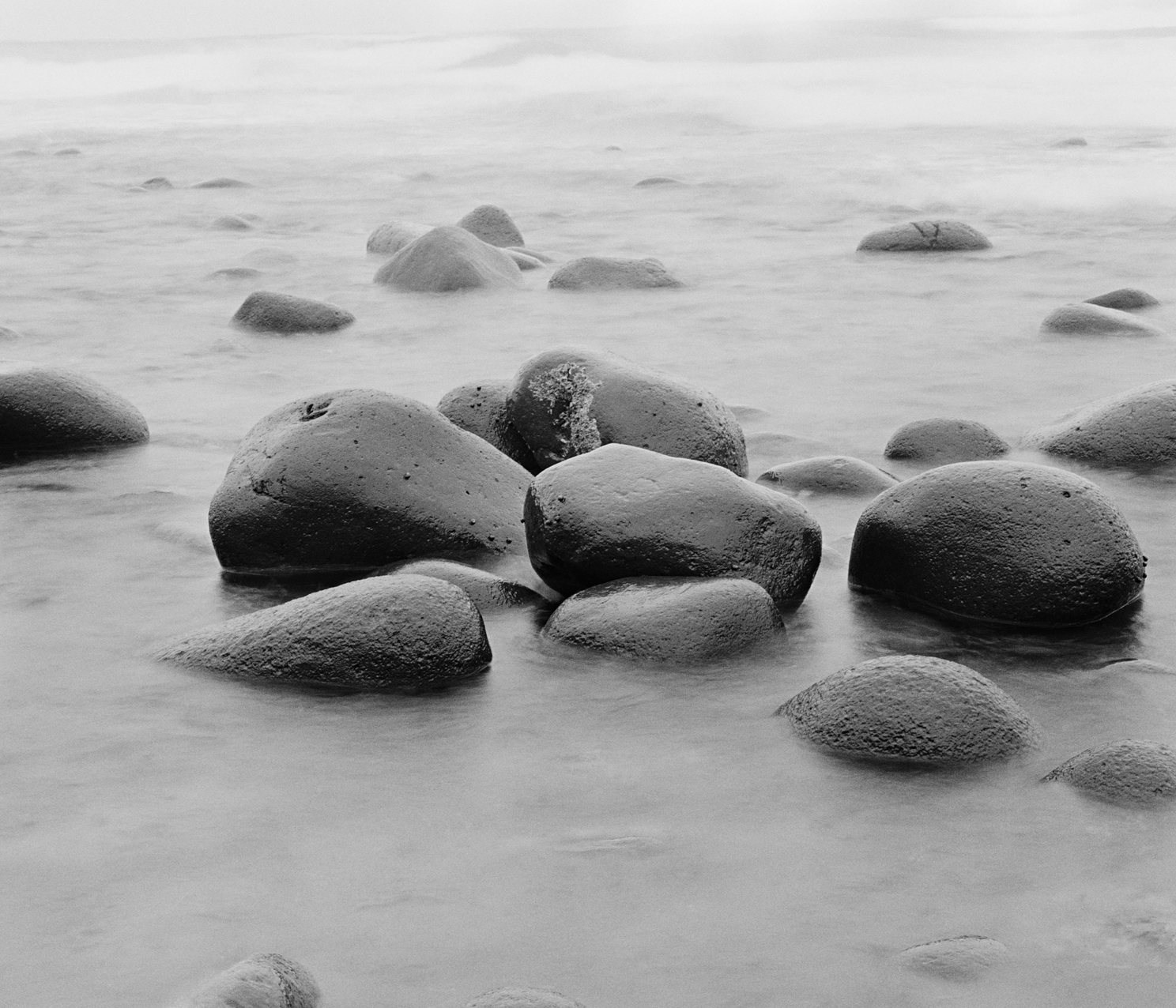 sea2b-008h_5104932_250208