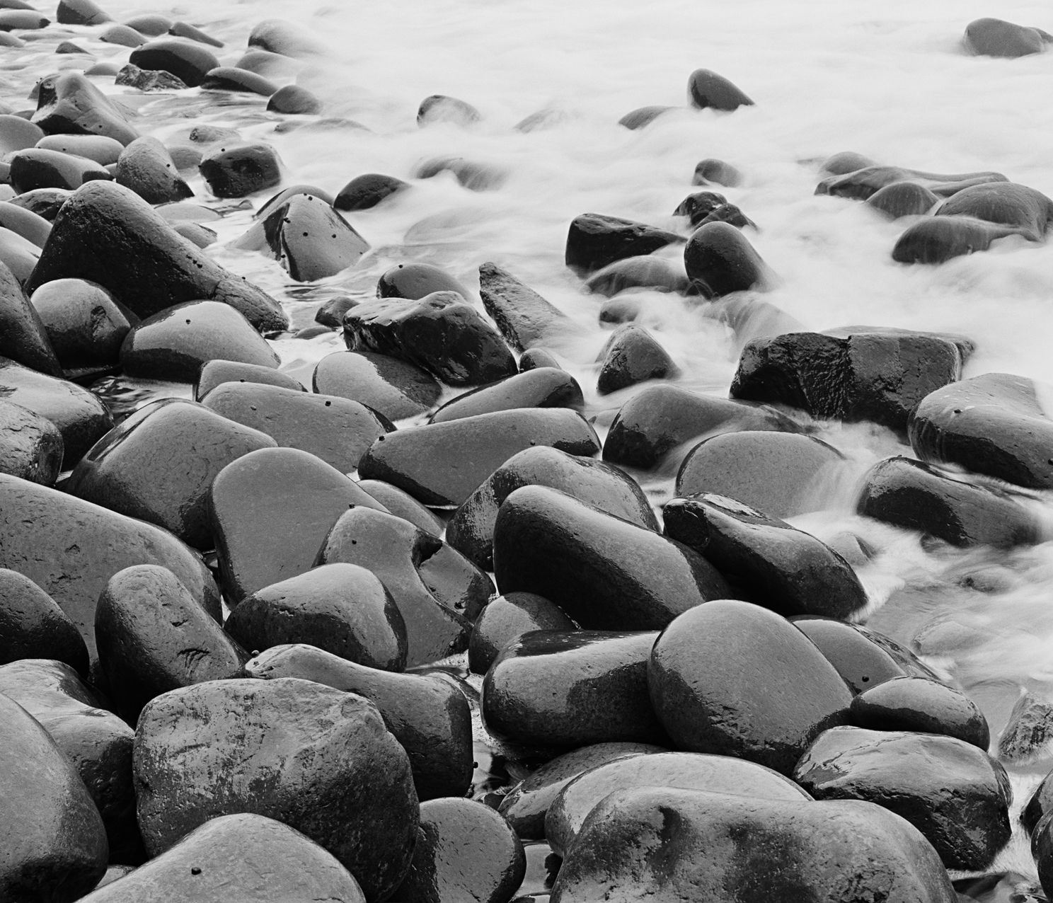 sea2b-009h_5104932_250208