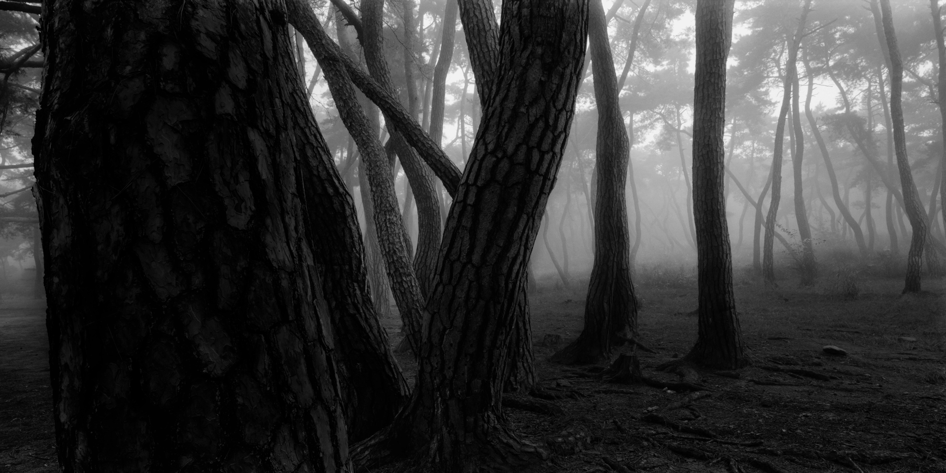 snm1a-001h_5089257_080406