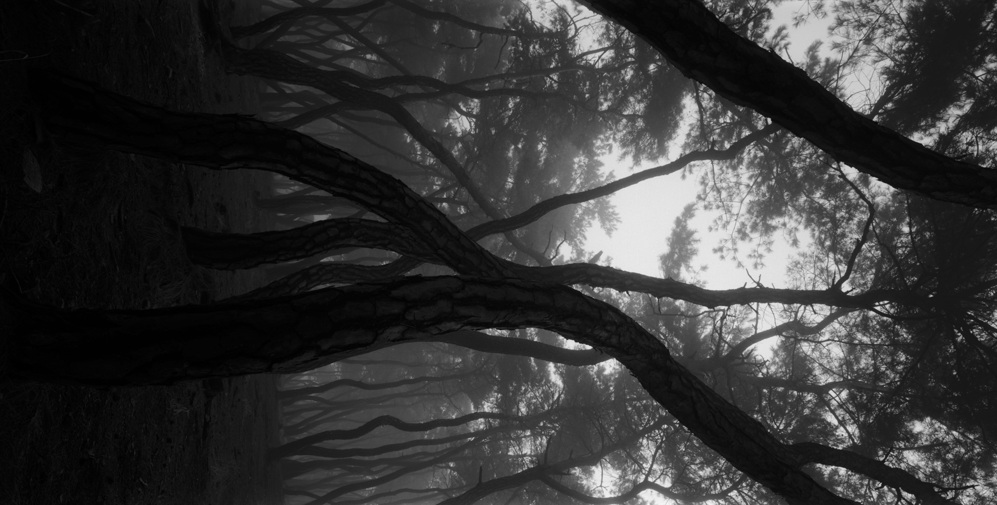 snm1a-002v_5091553_280706