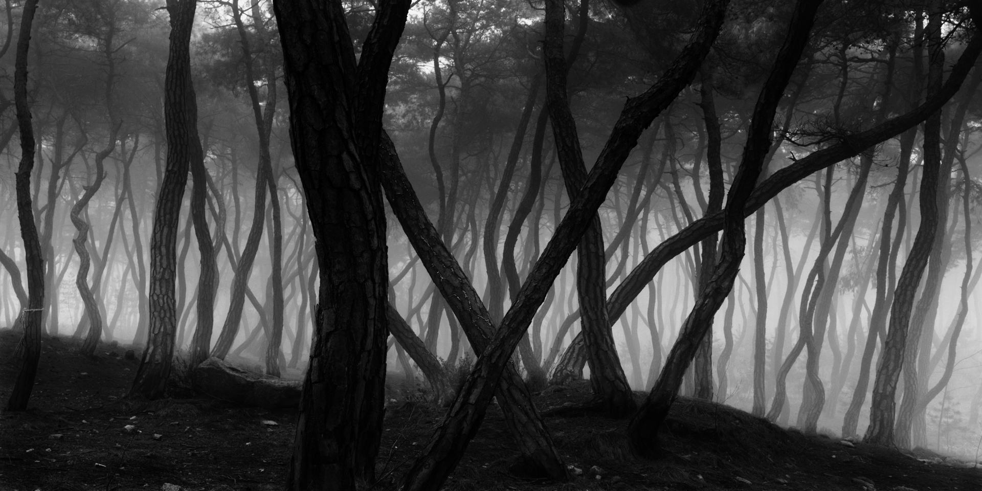 snm1a-003h_5089257_080406