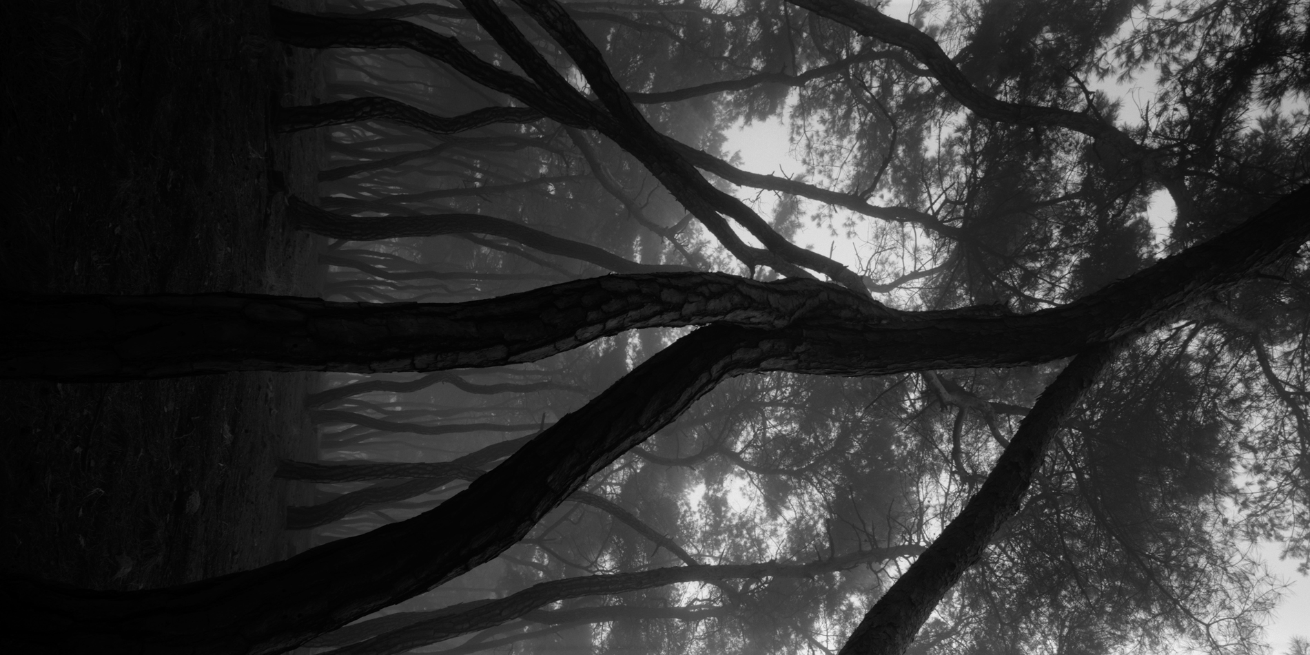 snm1a-004v_508336_100805