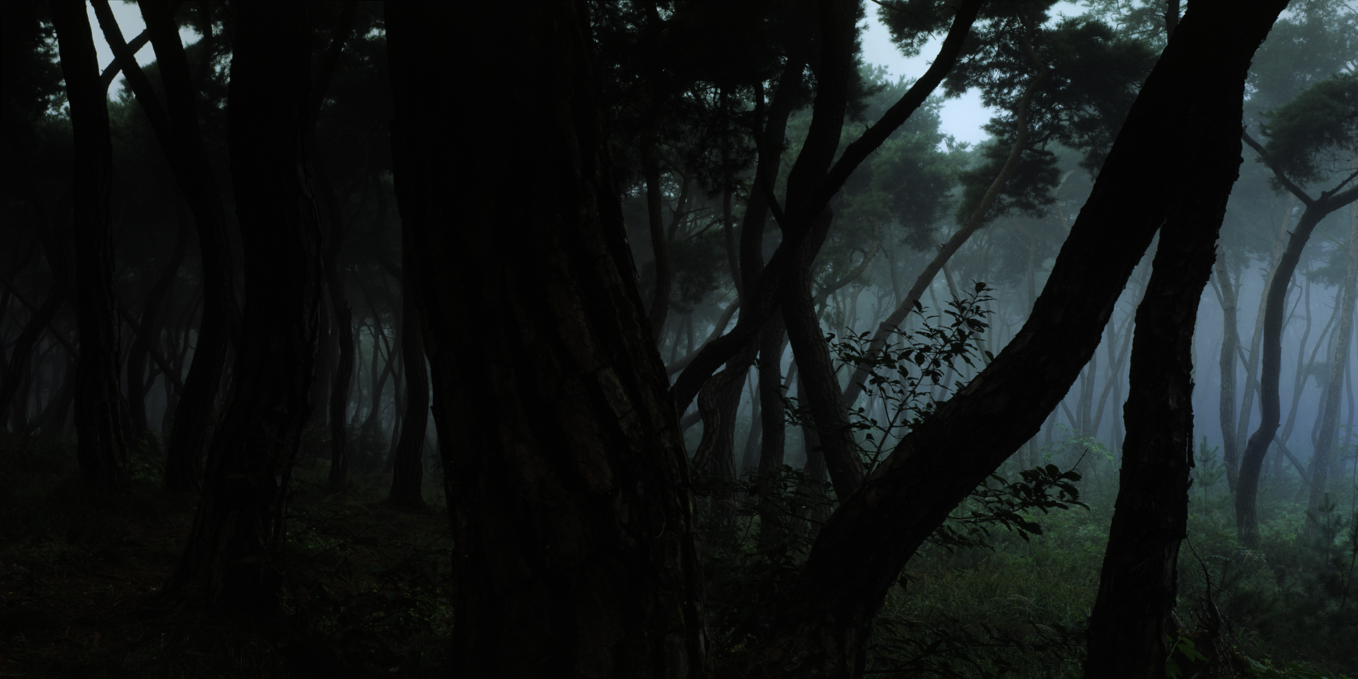 snm1a-006hc_5089257_080406