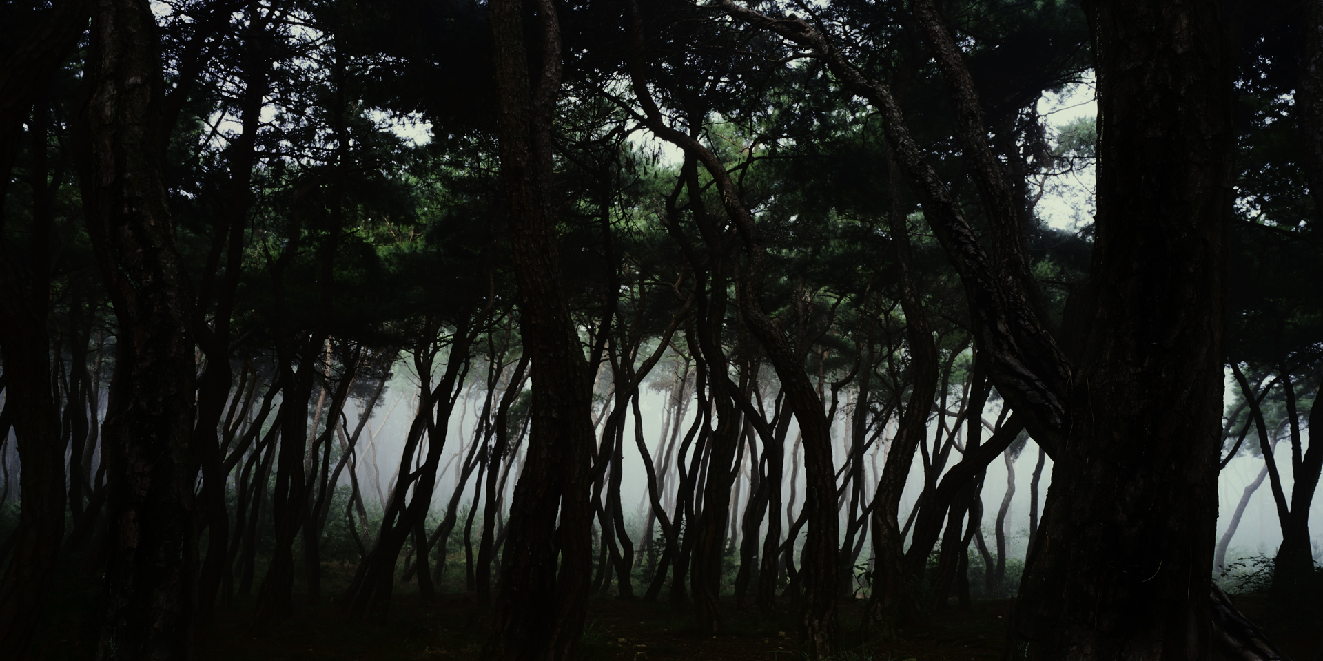 snm1a-007hc_5089257_080406