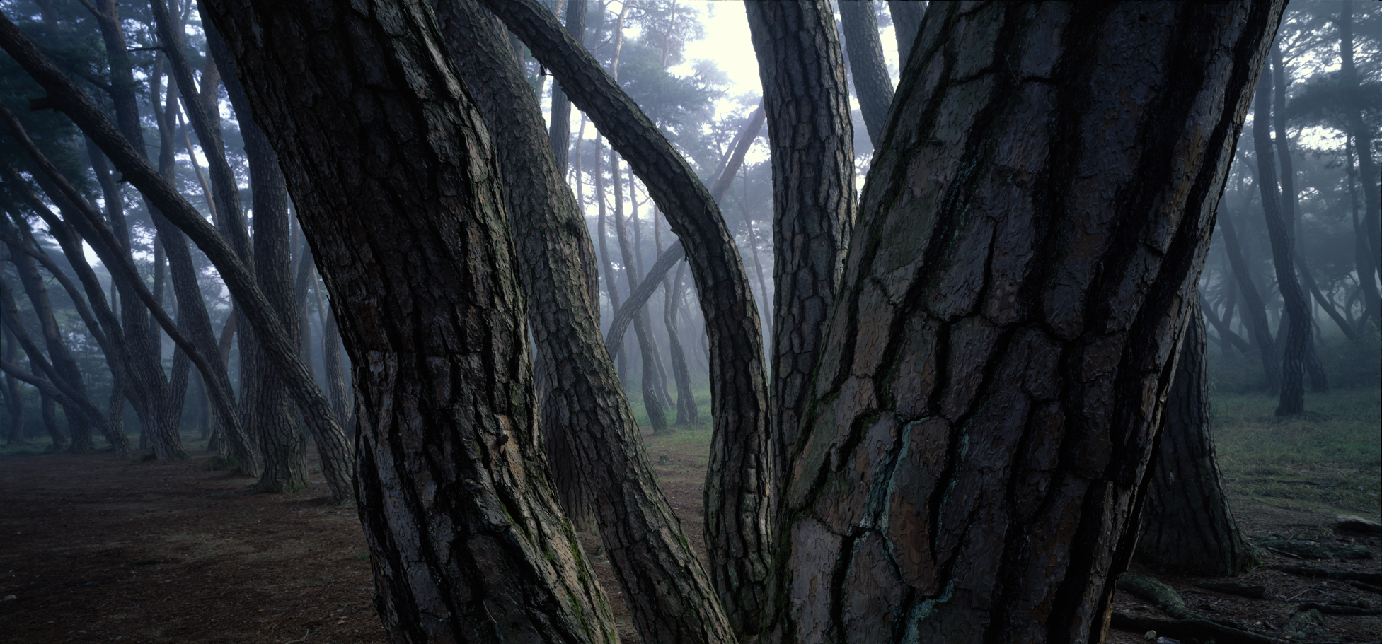 snm1a-008hc_5074403_030604