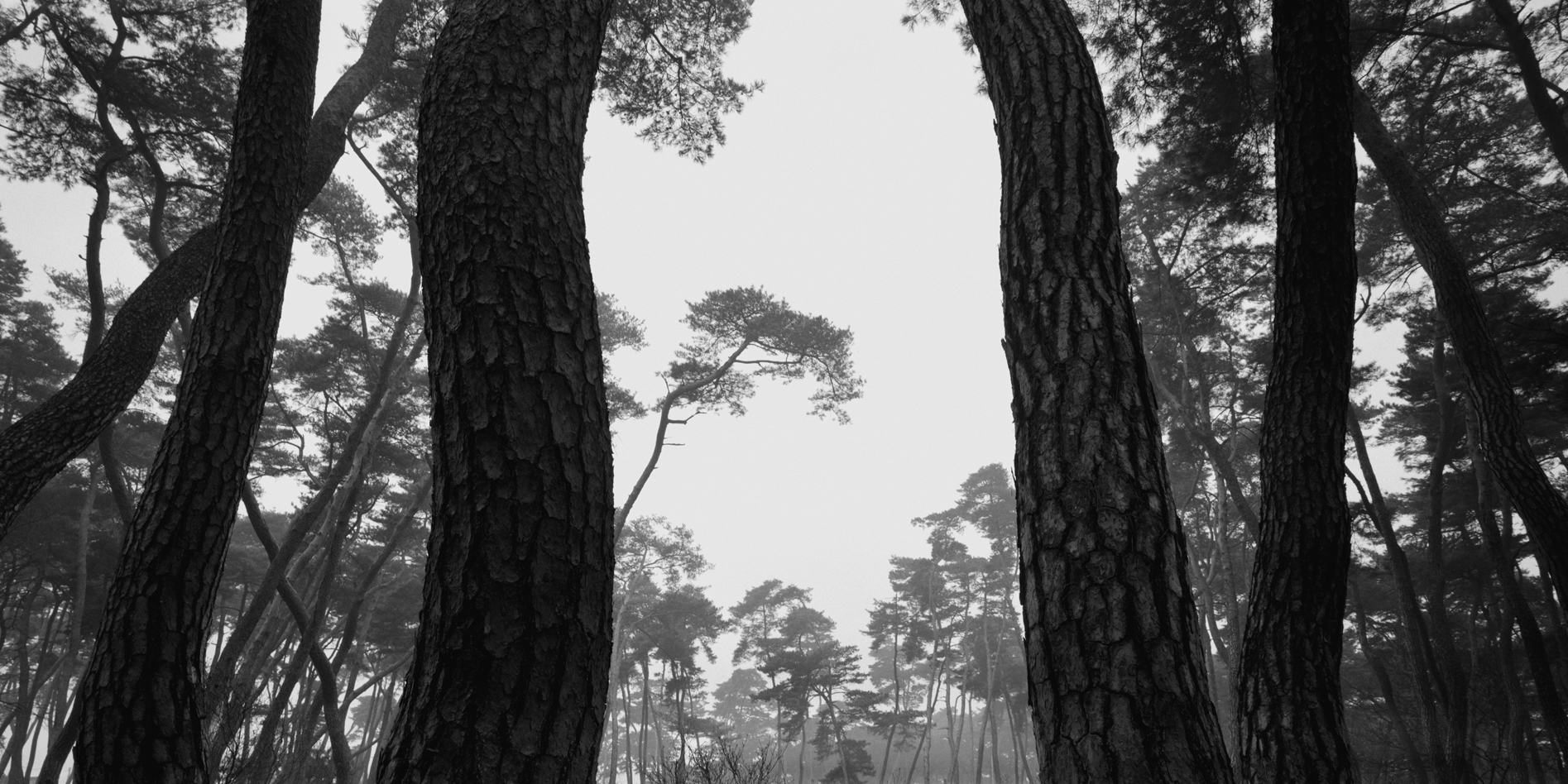 snm1a-009h_5089257_080406