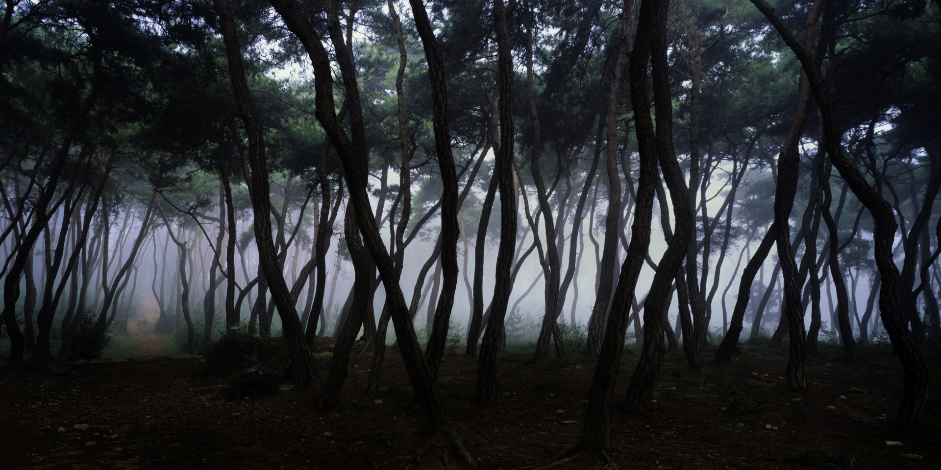 snm1a-012h_5089257_080406