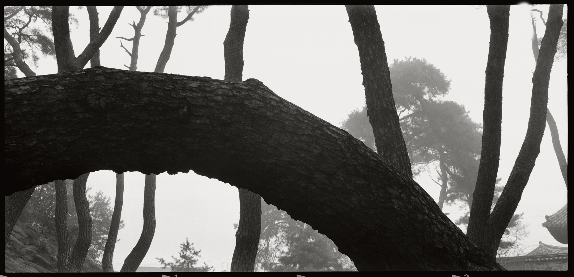 snm1a-013h_5073726_010604