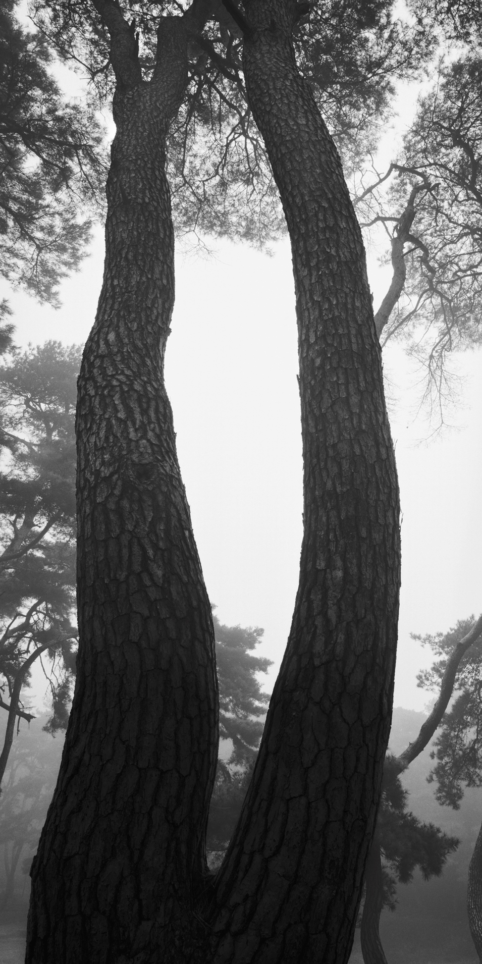 snm1a-014v_5089257_080406