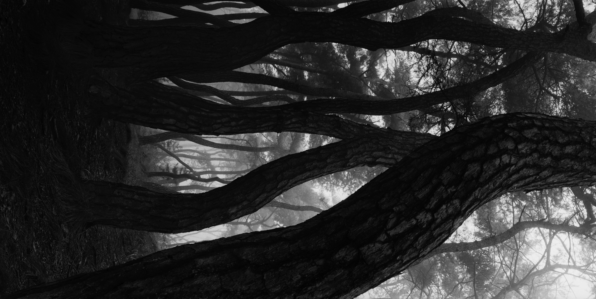 snm1a-020v_5089257_080406