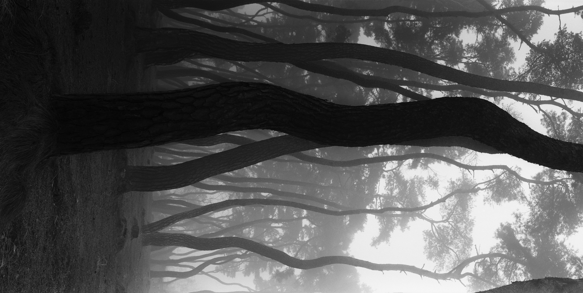 snm1a-021v_5089257_080406