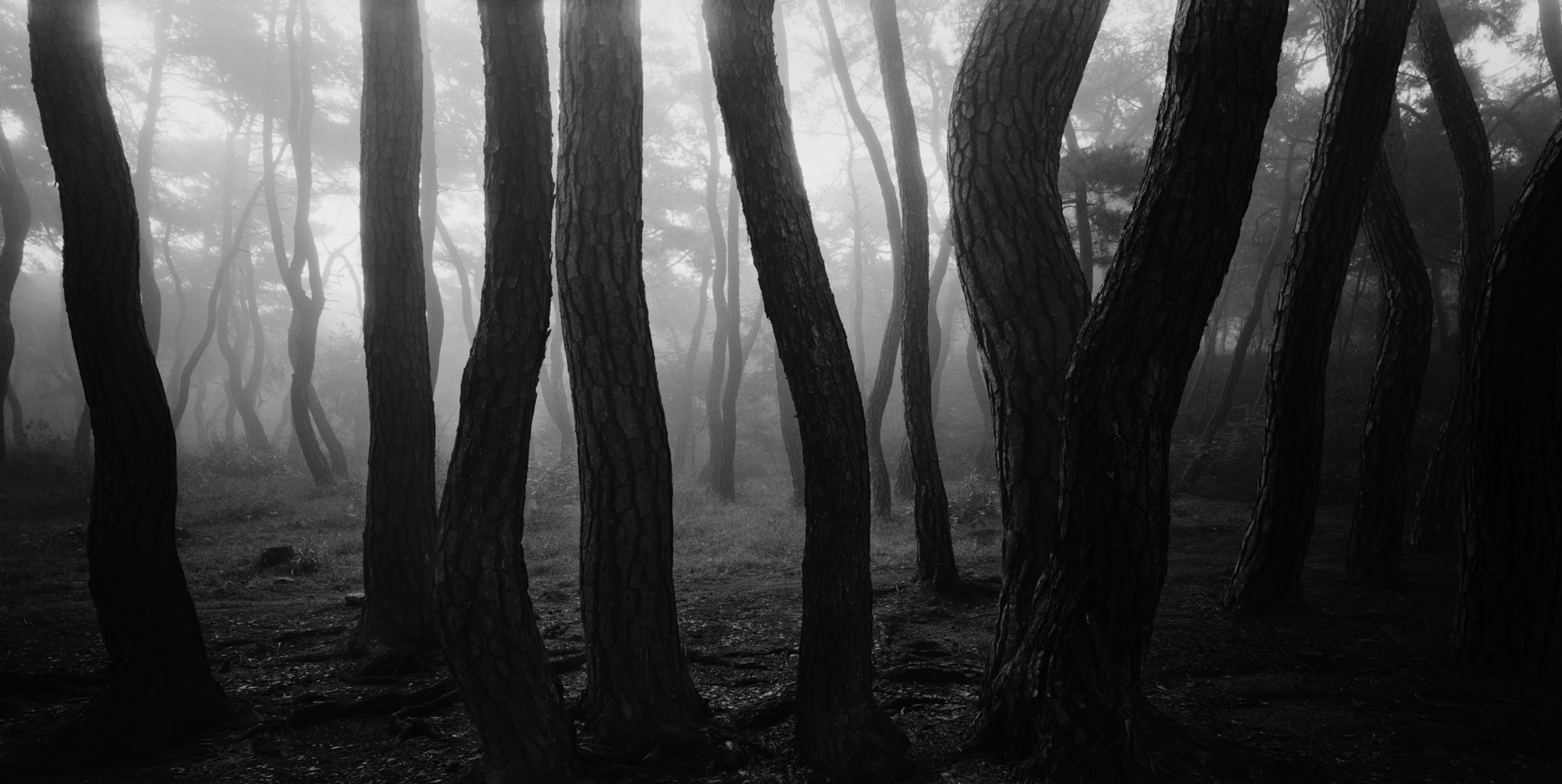 snm1a-022h_5091553_280706