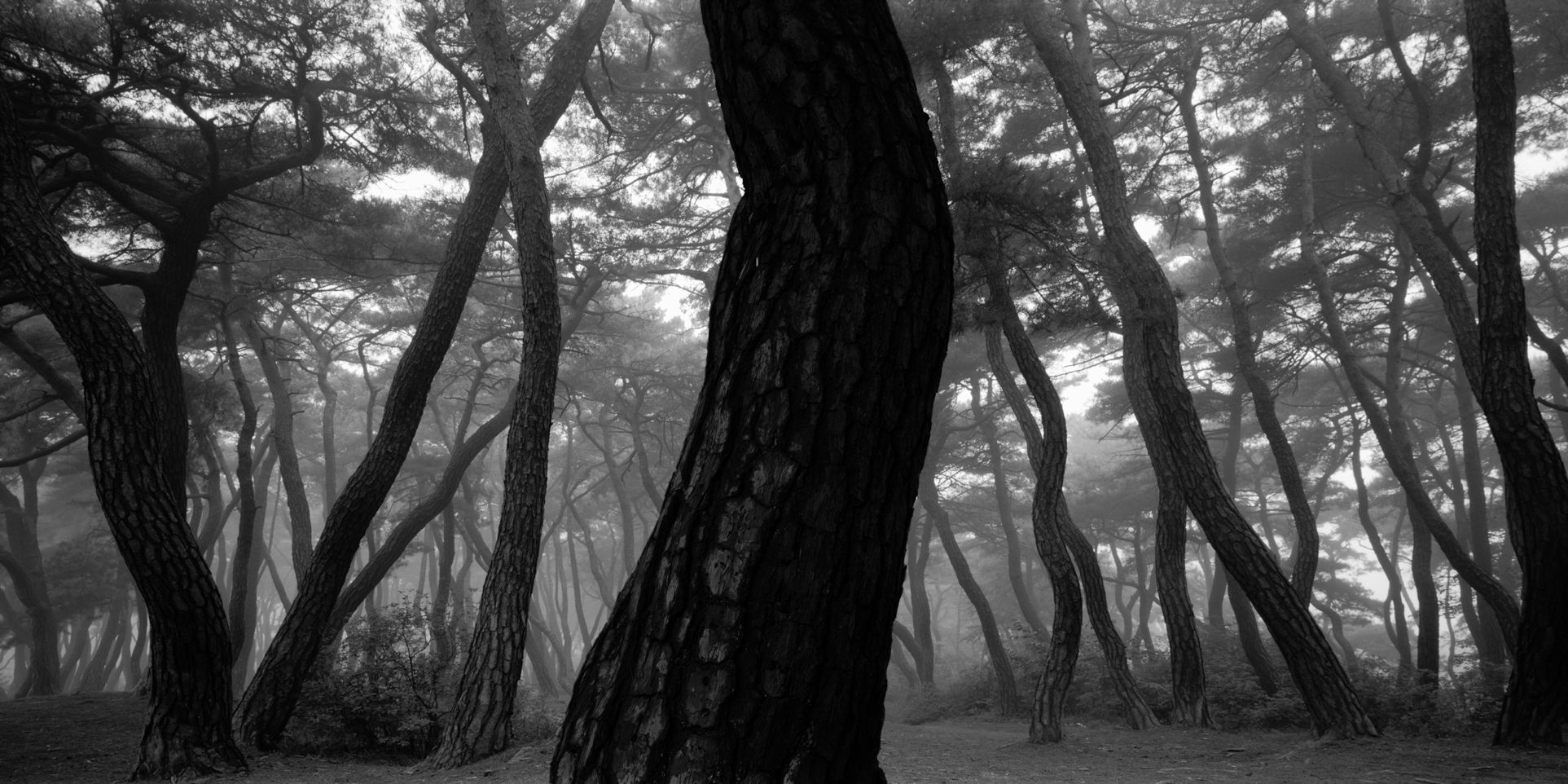 snm1a-023h_5097306_220307