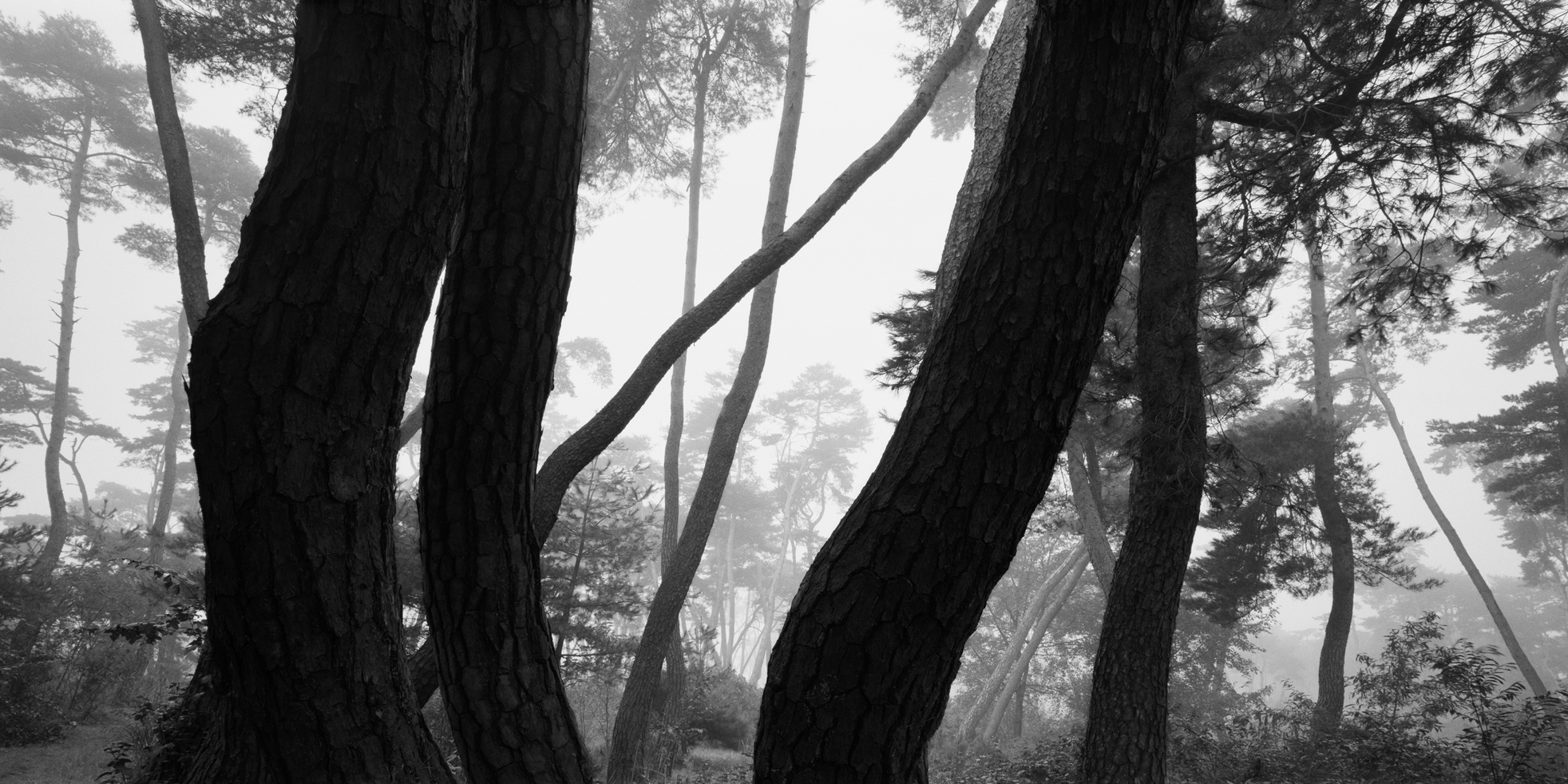 snm1a-024h_5097306_220307