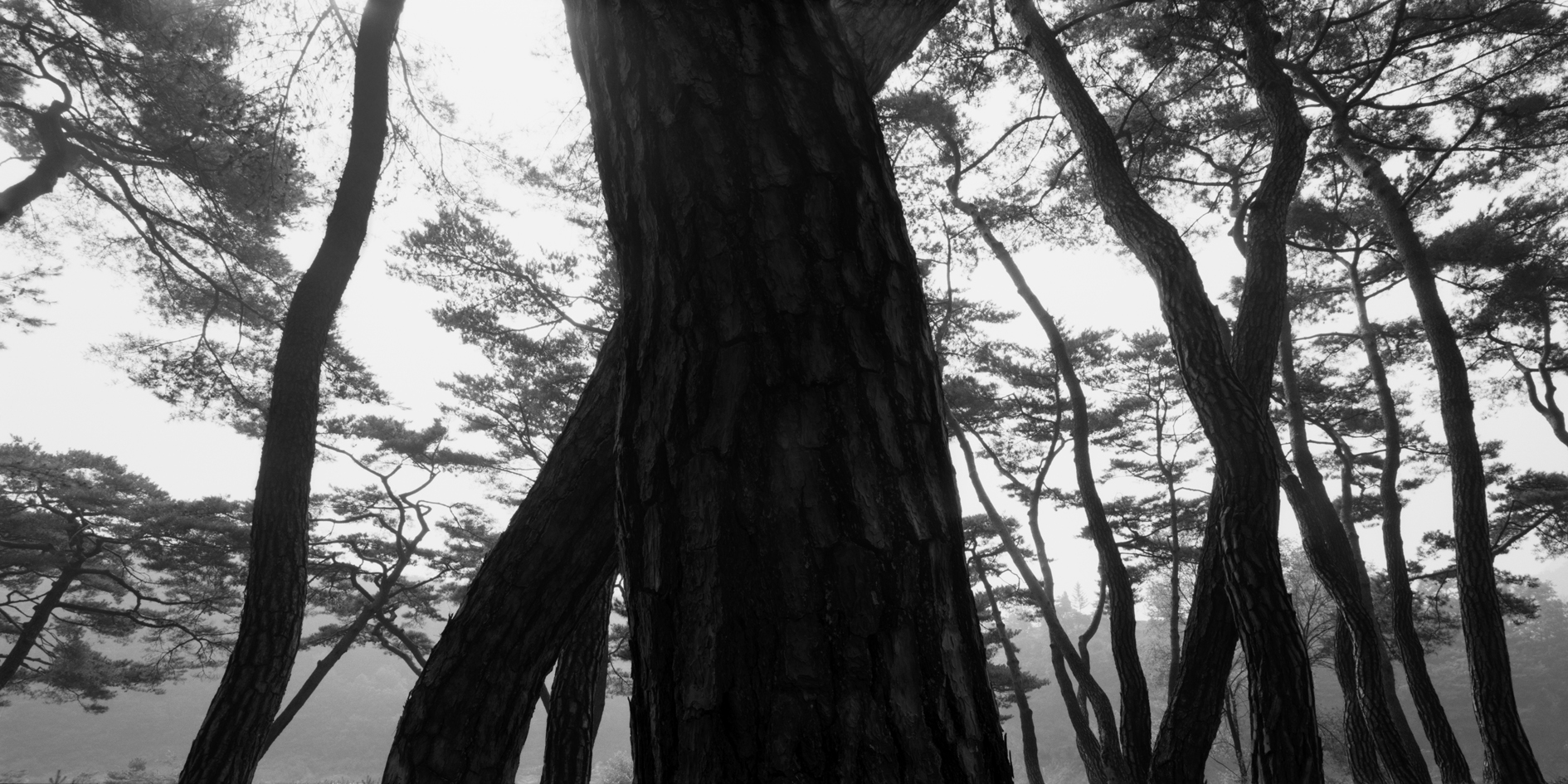 snm1a-025h_5097702_120506