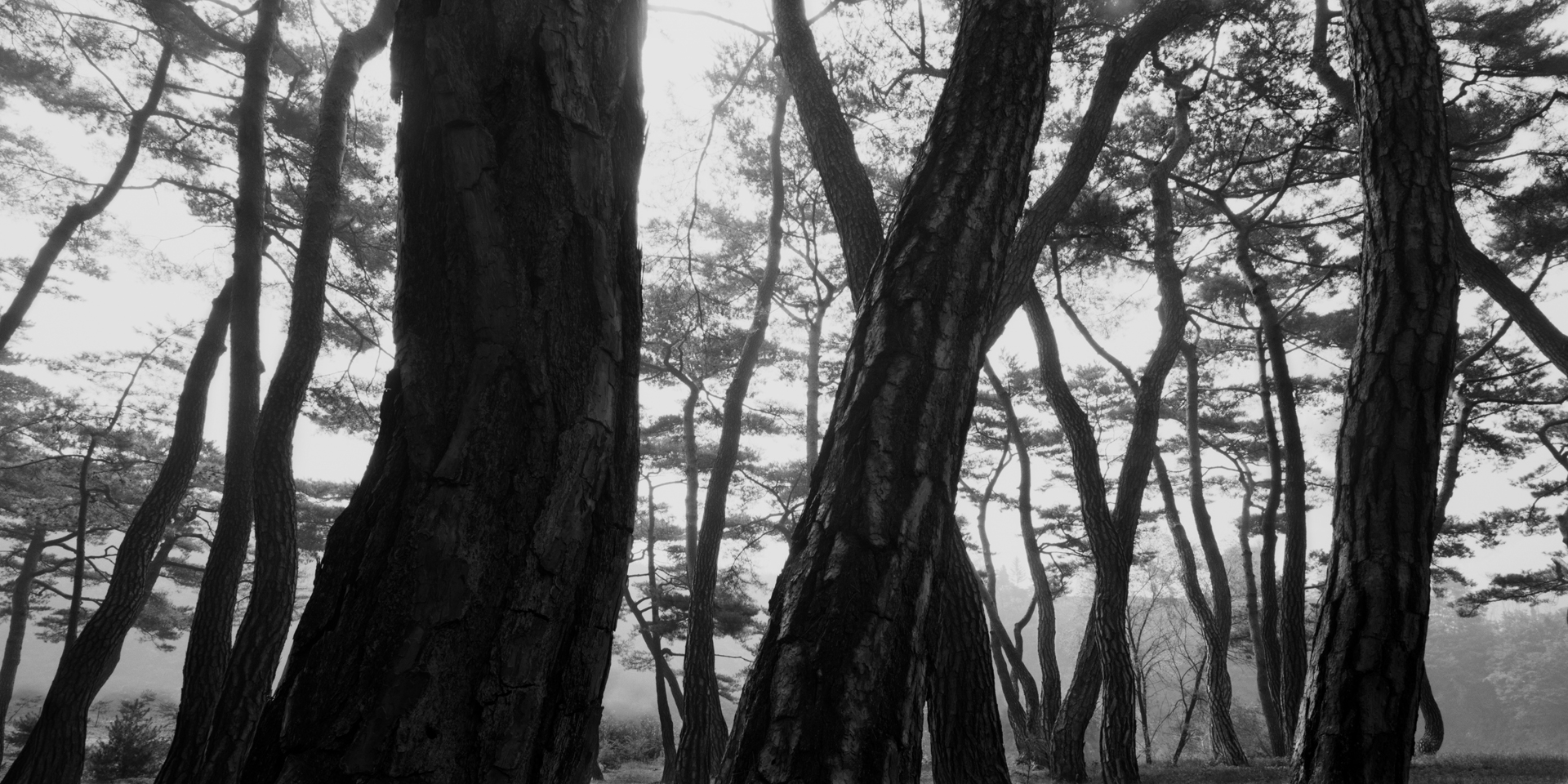 snm1a-026h_5102034_14112007