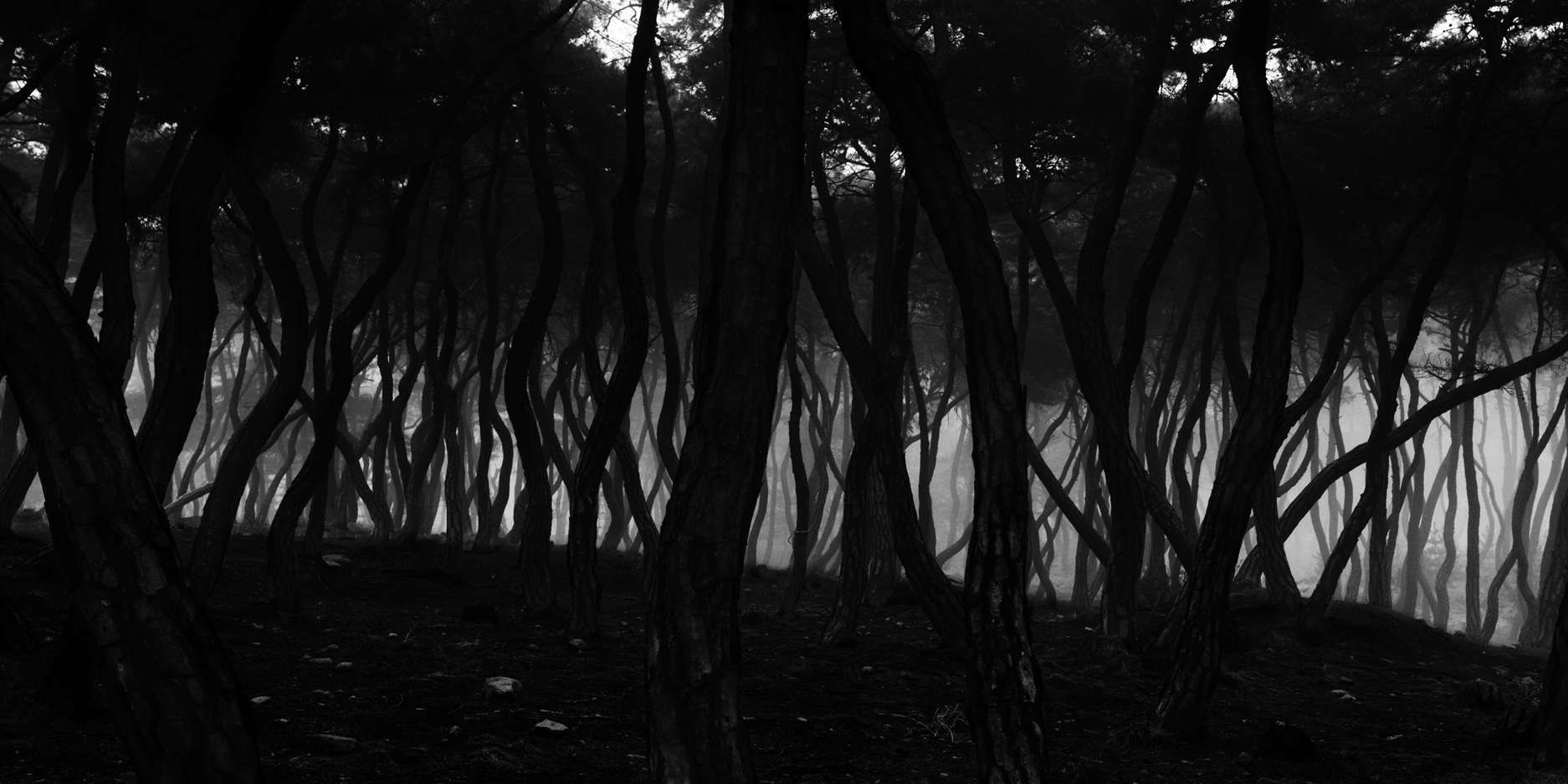 snm1a-027h_5097524_220307