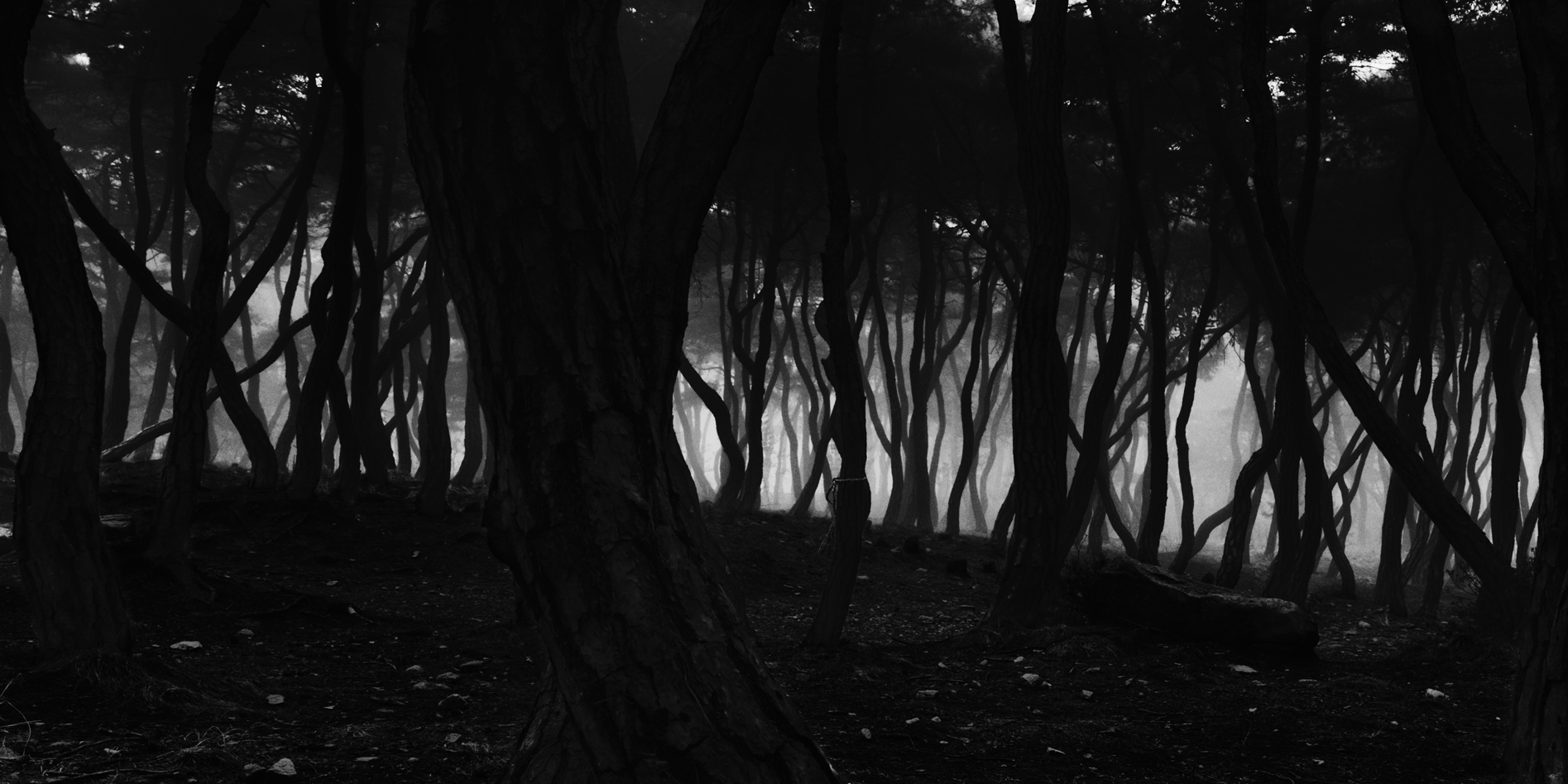 snm1a-028h_5095560_190107