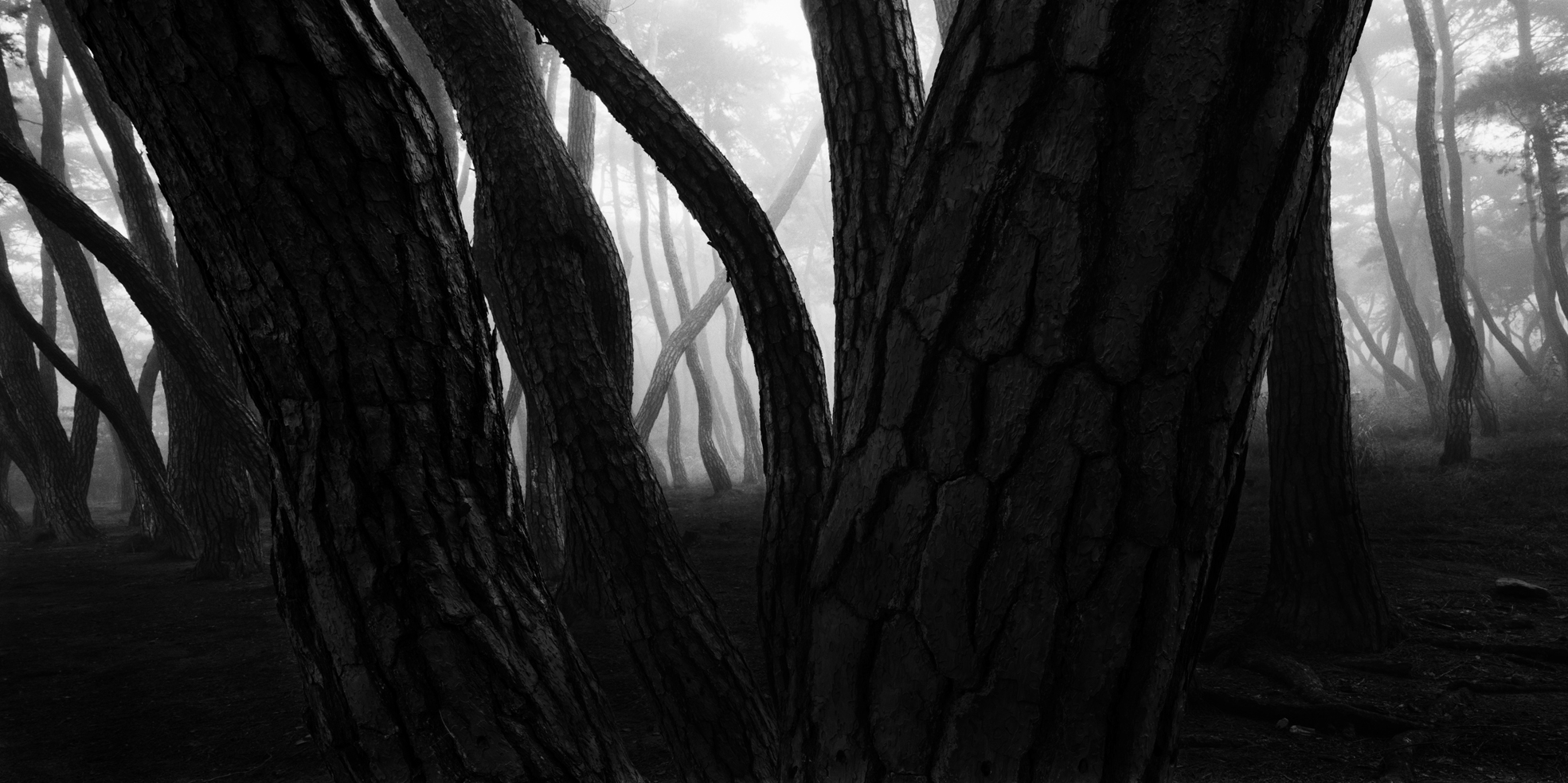 snm1a-029h_5091553_280706