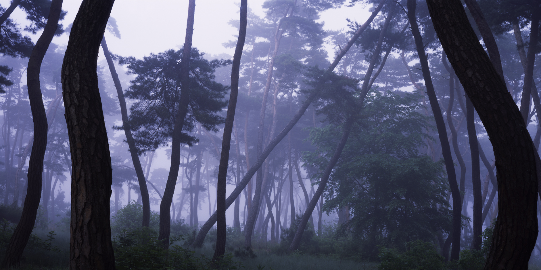 snm1a-030hc_5089928_090506