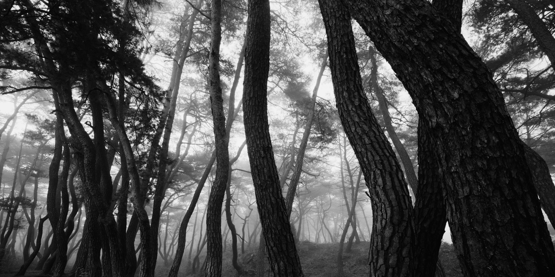 snm1a-031h_5107813_240608