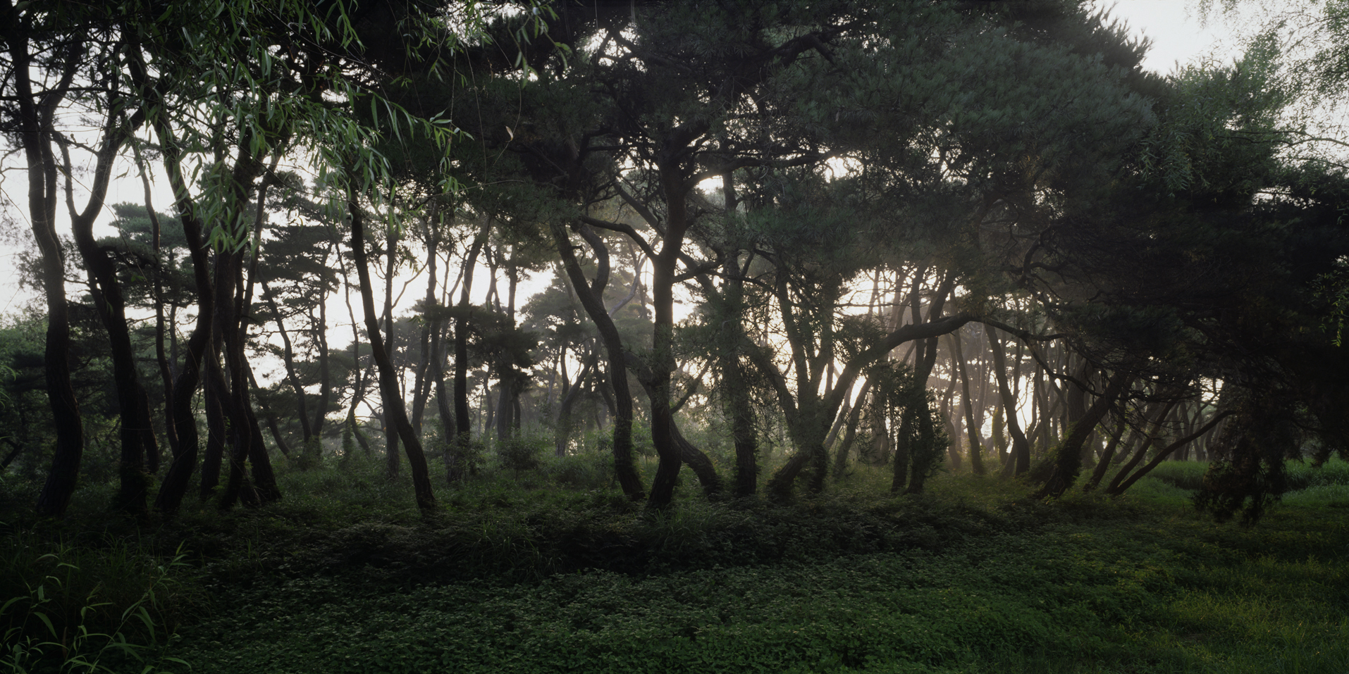 snm1a-032hc_5089928_090506