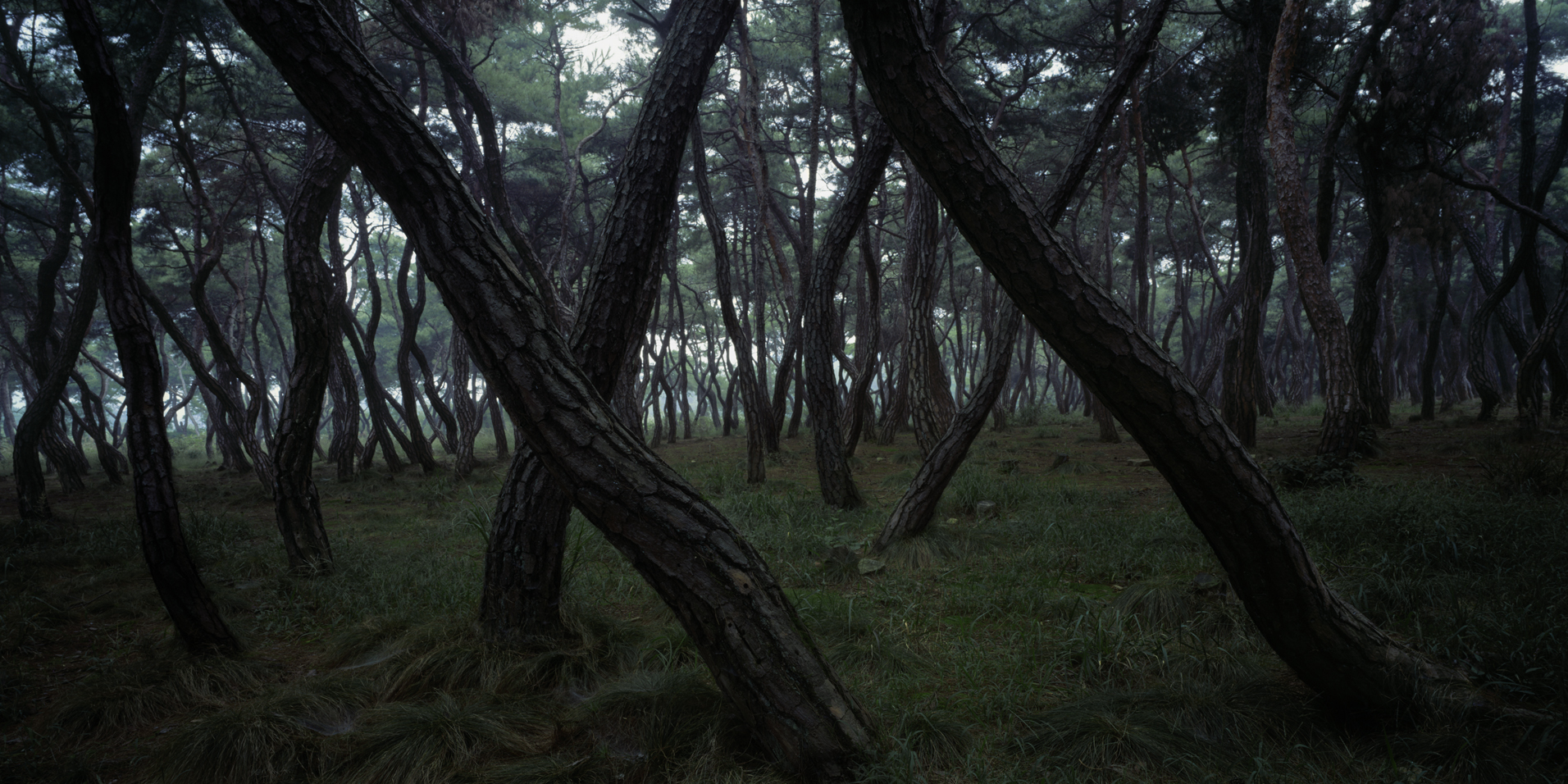 snm1a-033hc_5089928_090506