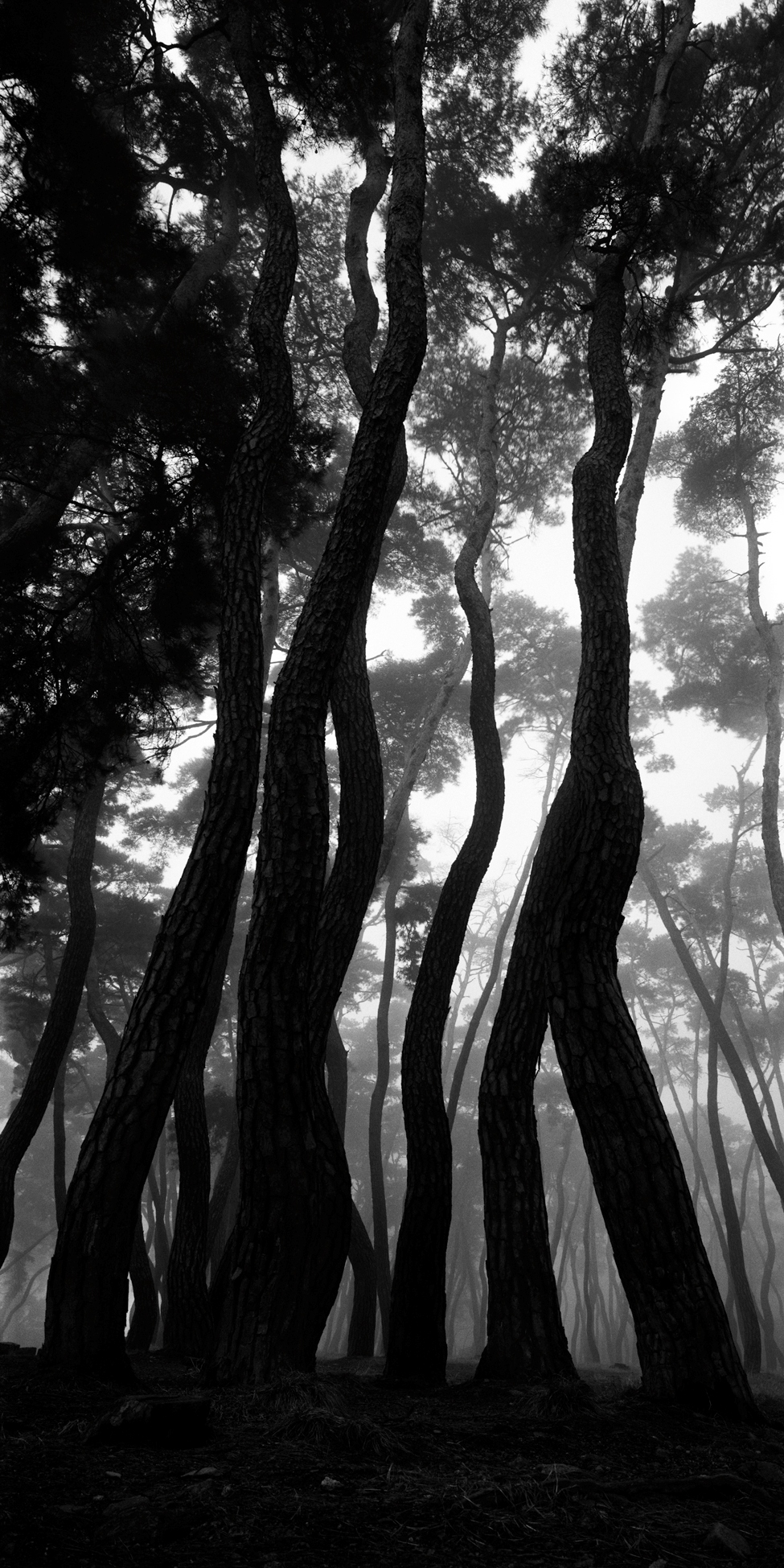 snm1a-034v_5096035_010207