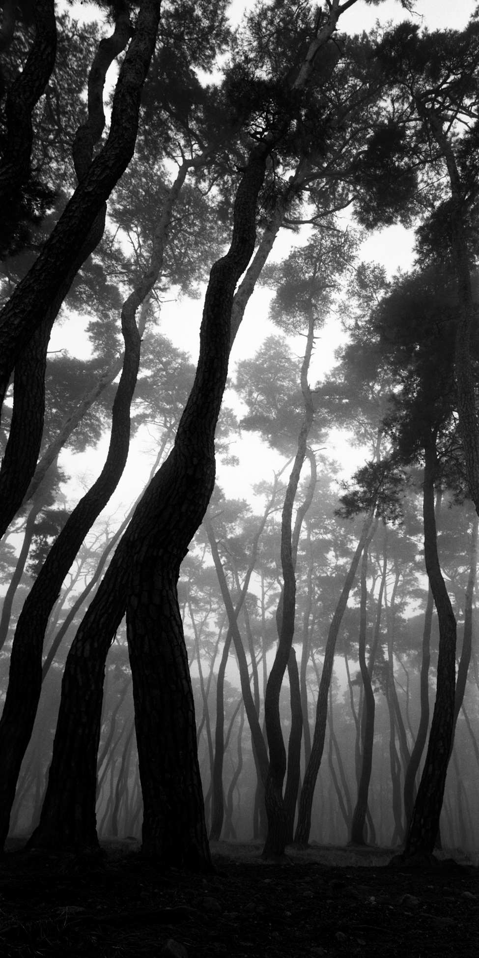 snm1a-035v_5091553_280706