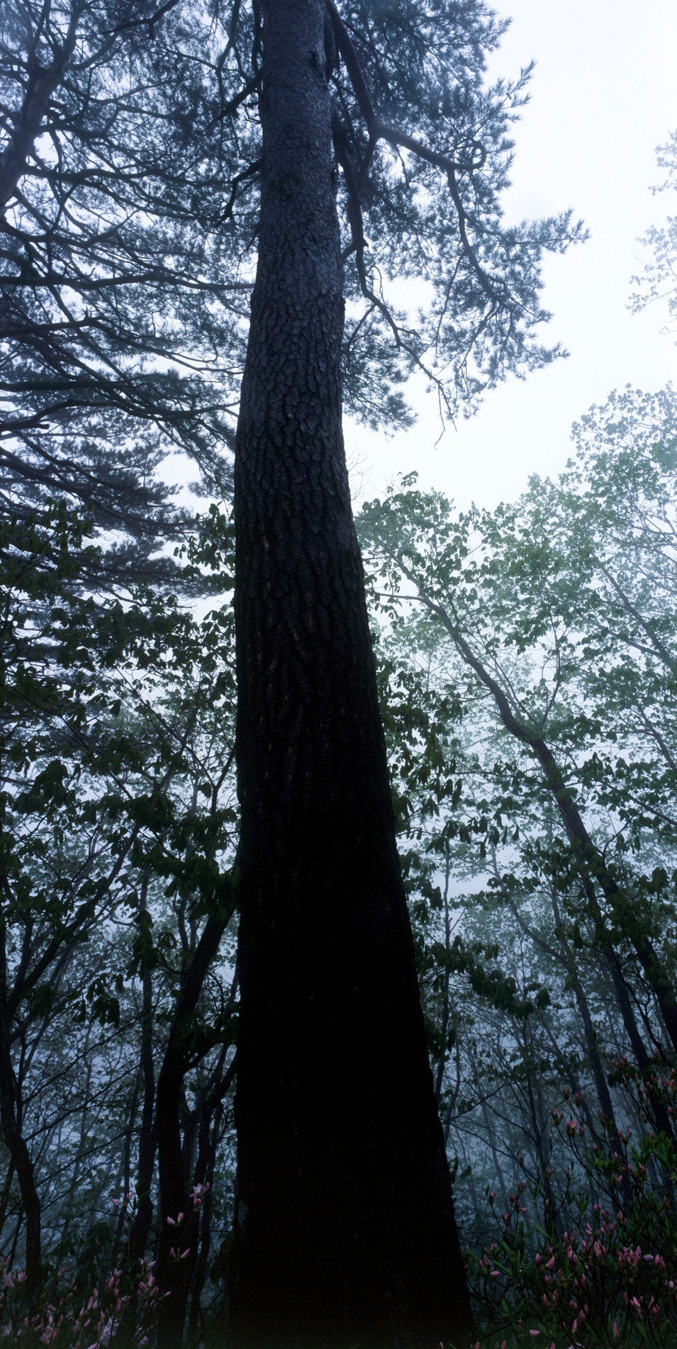 snm1a-036vc_5083495_300705