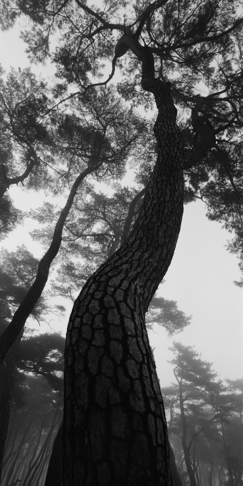 snm1a-037v_5107813_230608