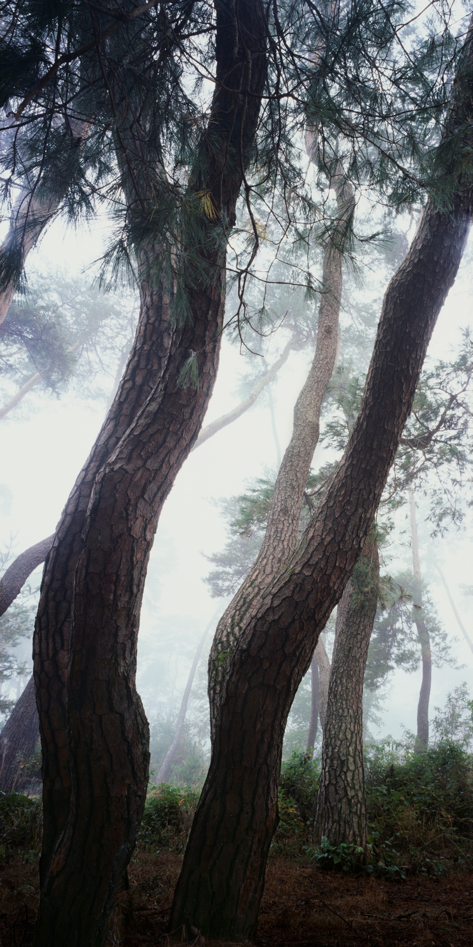 snm1a-038vc_5091032_030706