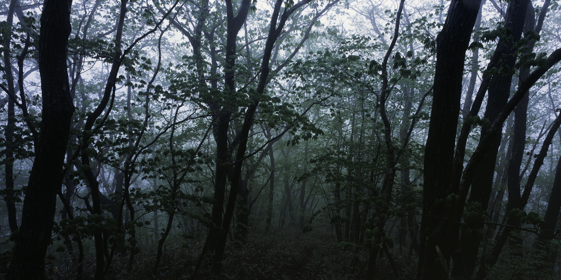 snm1a-039hc_5091553_280706