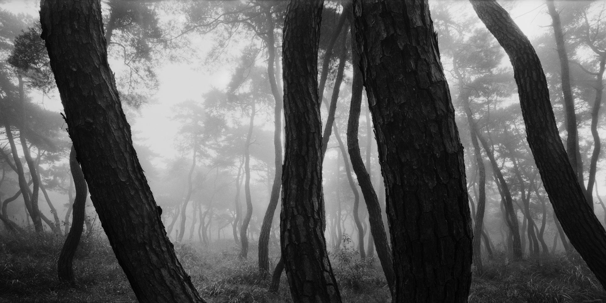 snm1a-041h_5101936_231007