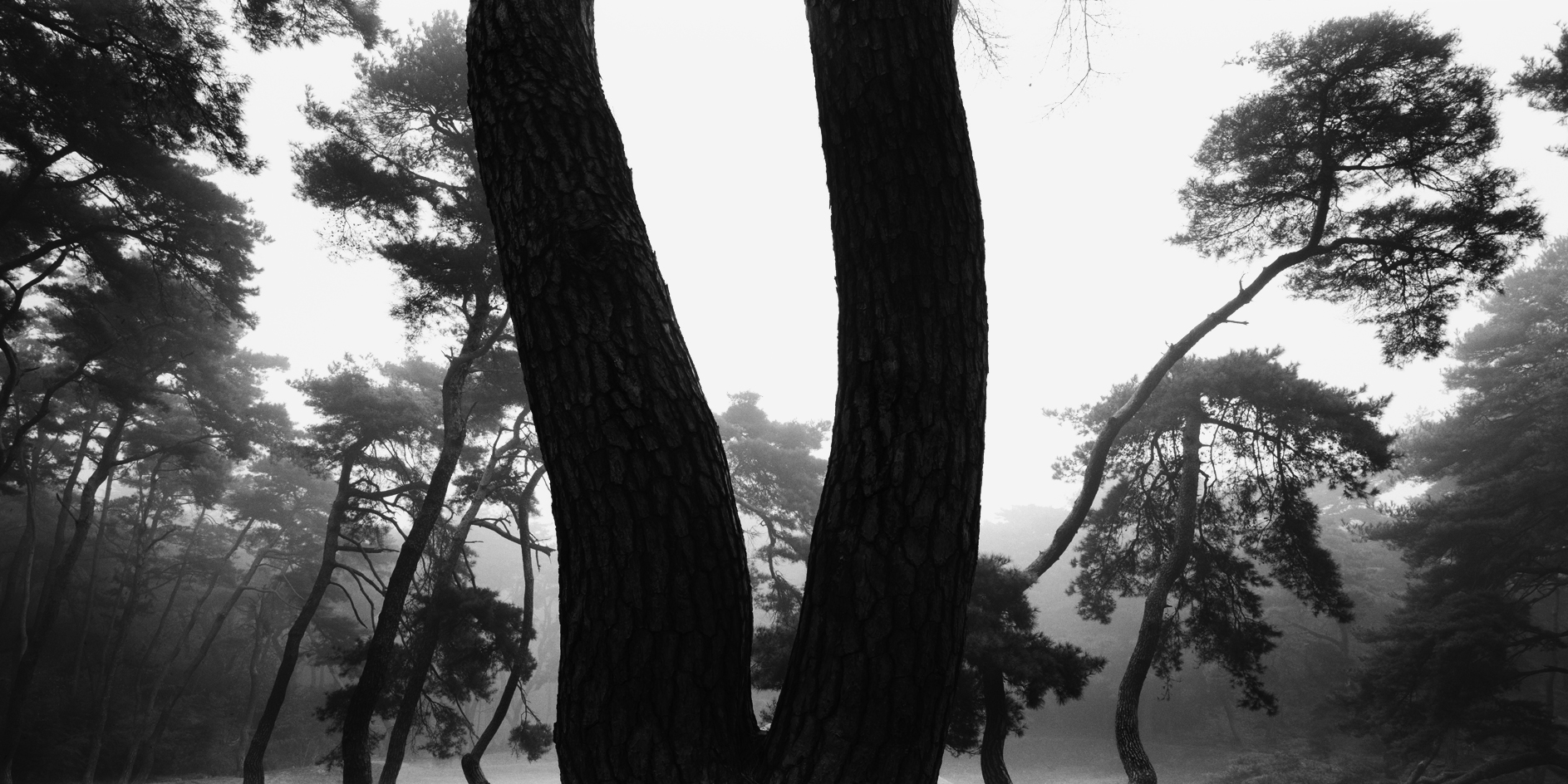 snm1a-044h_5090942_290606