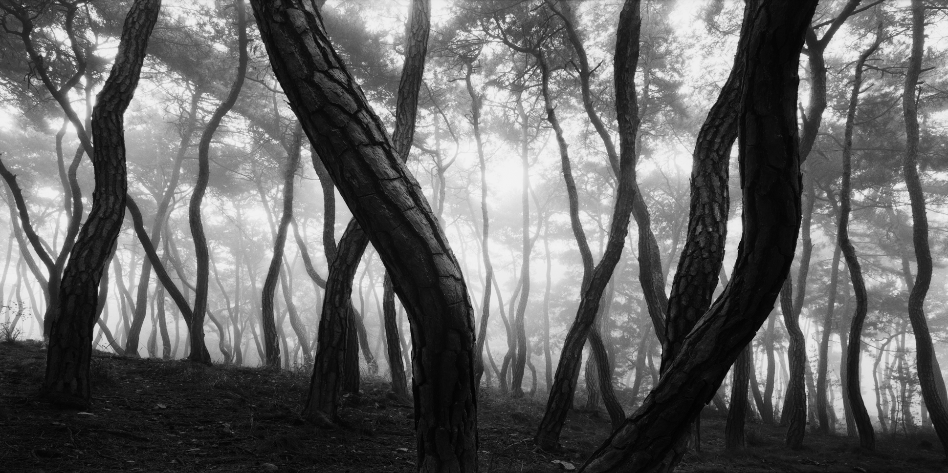 snm1a-047h_5101936_311007