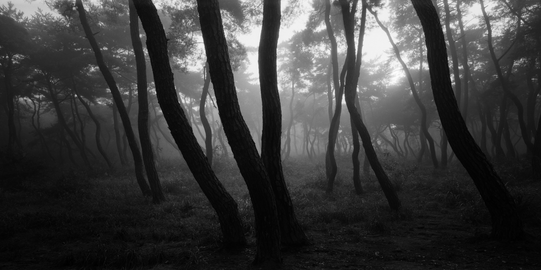 snm1a-048h_5097524_300307