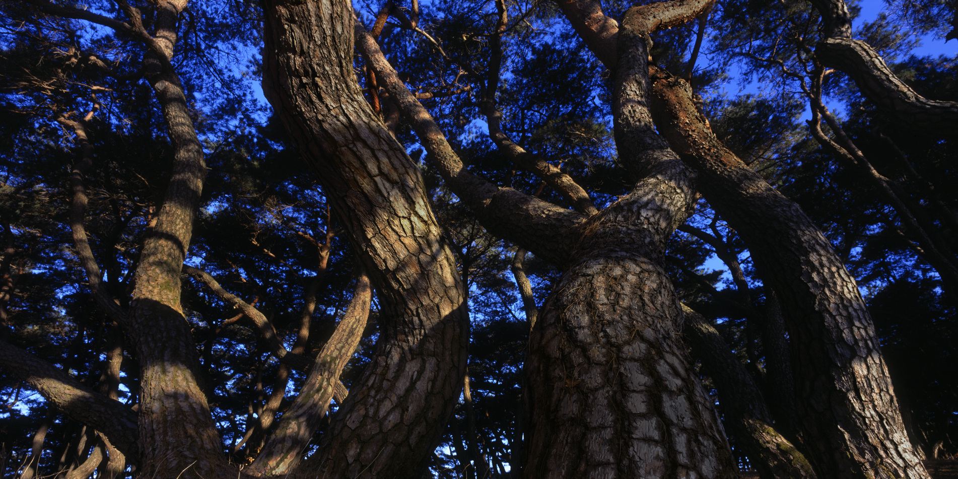 snm1a-049hc_5095738_220606